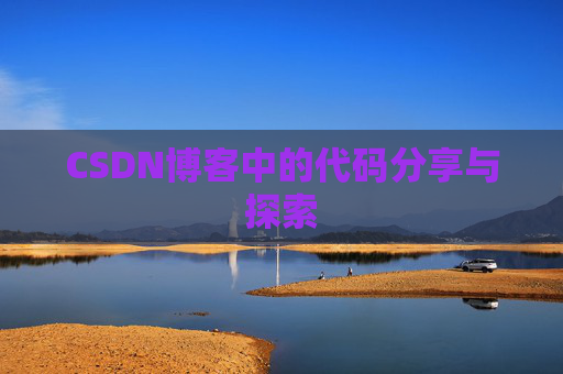 CSDN博客中的代码分享与探索