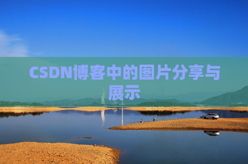 CSDN博客中的图片分享与展示